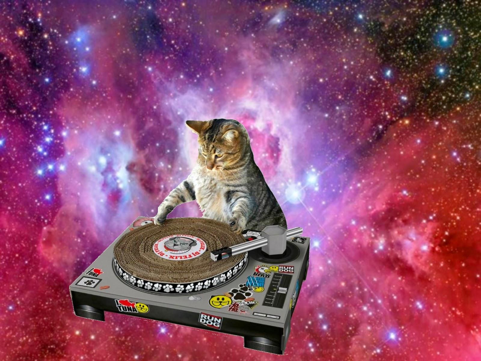 Space Cat Wallpapers Group