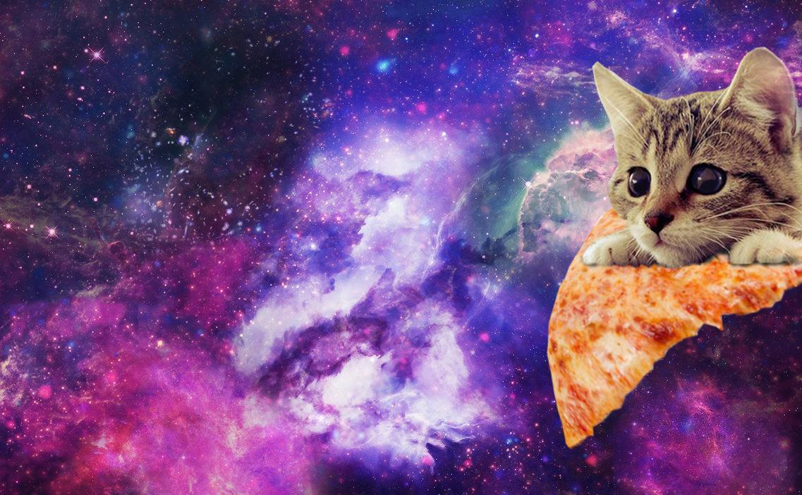 Cat universe iphone wallpapers