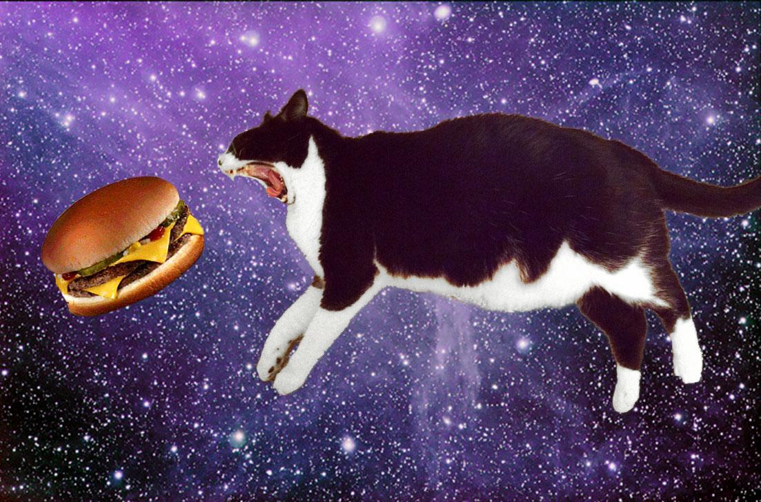 Space Cat Eating Burger Wallpapers