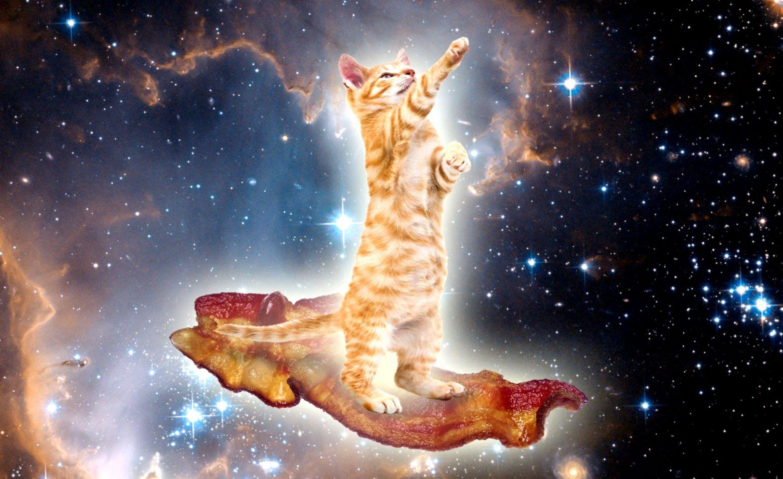 Space Cat Backgrounds