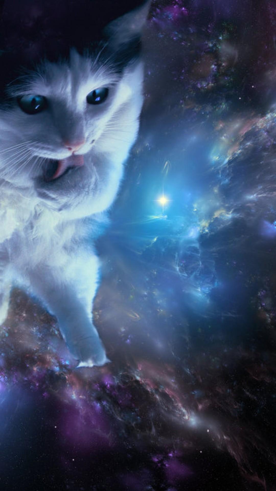 space cats wallpaper camo