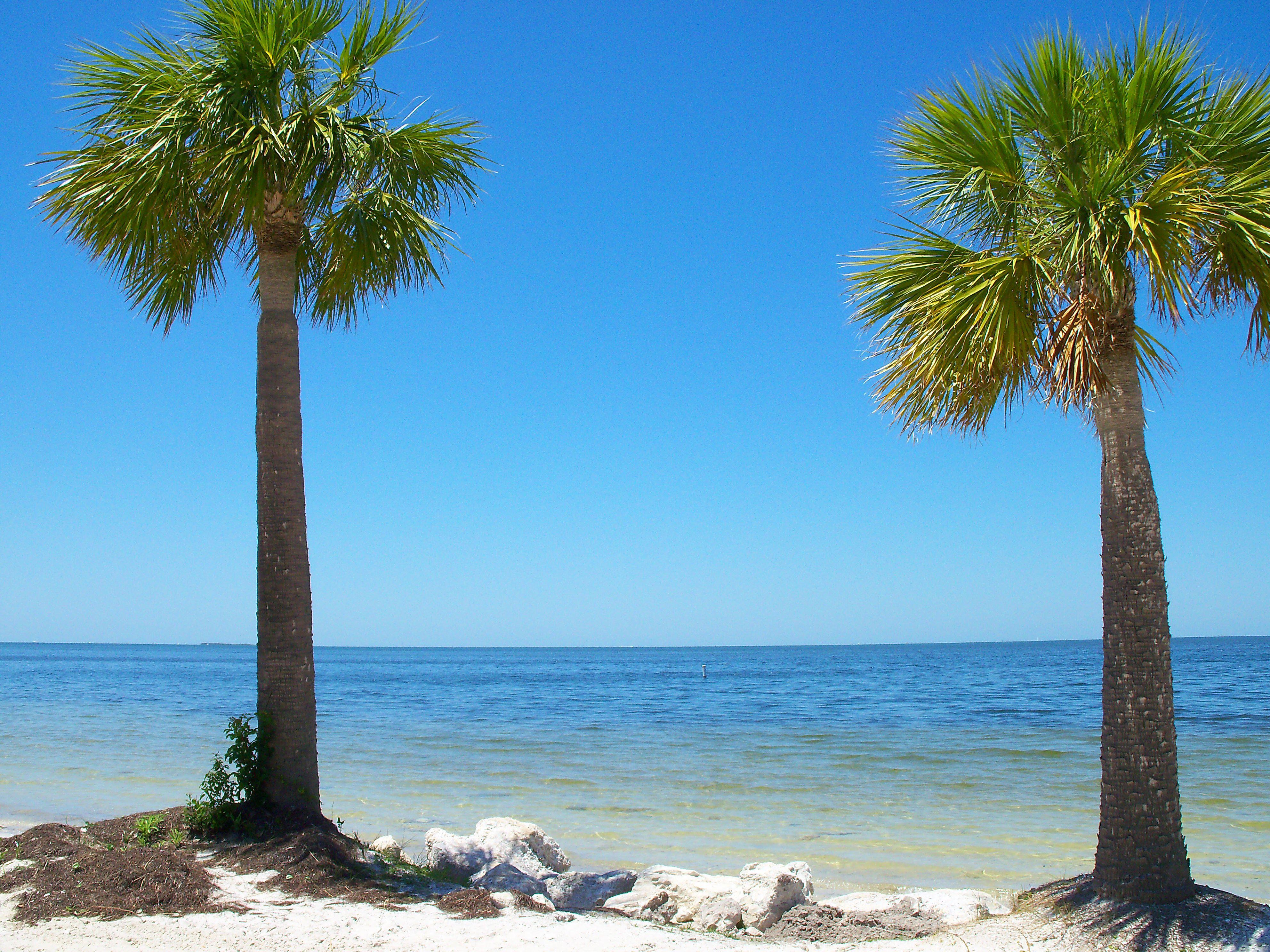Sunset Beach Taropn Springs, Florida , beach, beautiful, florida