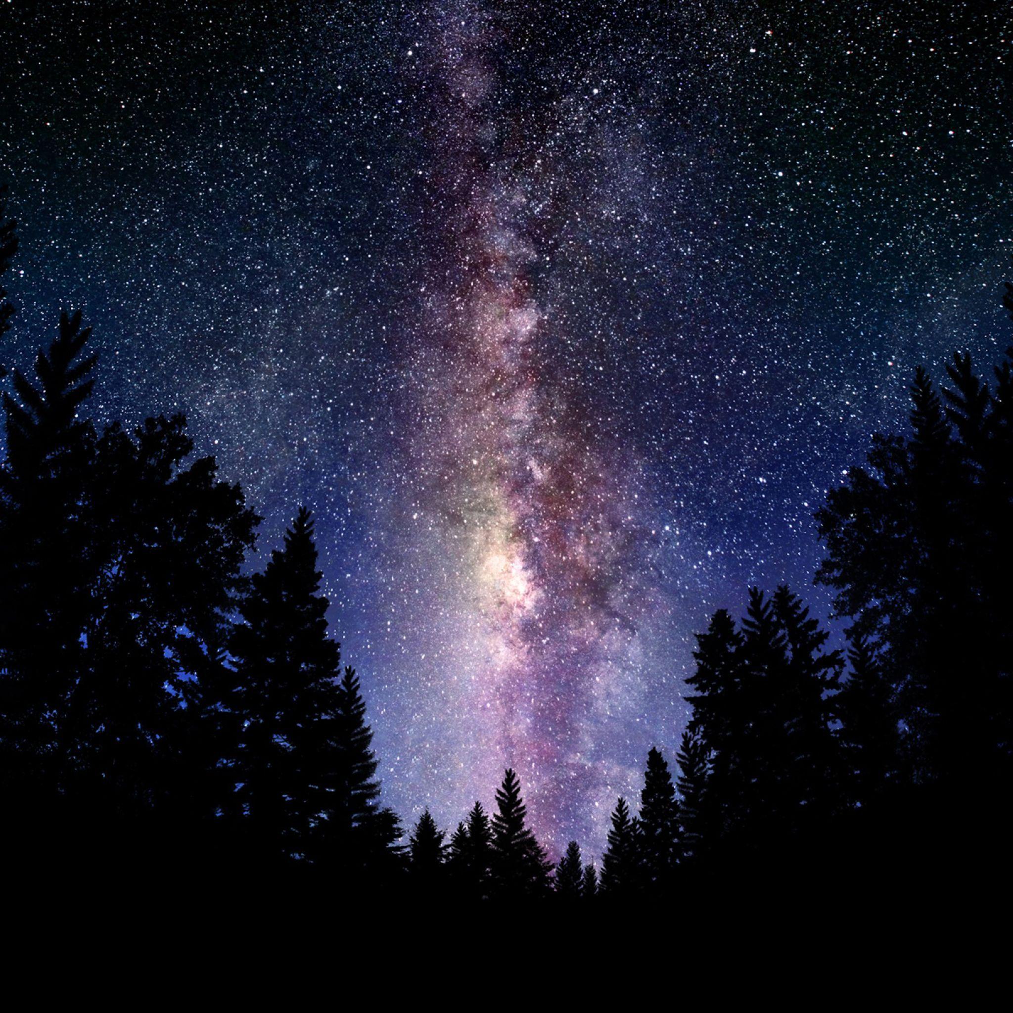 Galaxy Forest Wallpaper