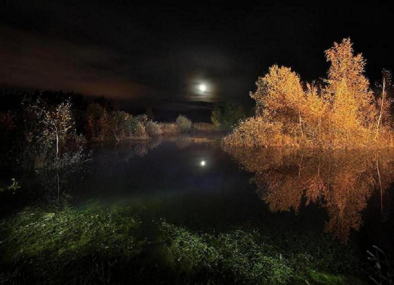 Ночное таем. Осенняя ночь. Природа вечер. Осень ночь. Природа ночью.