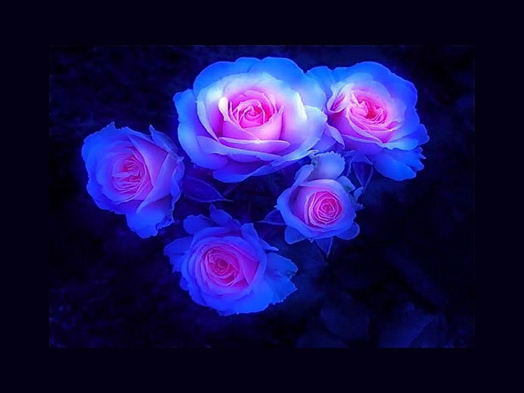 Black Blue Flower Wallpaper