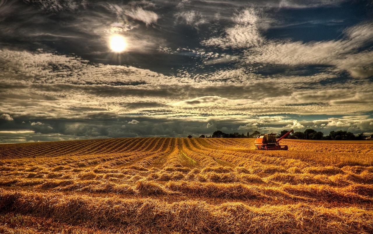Northern Ireland Harvest wallpaper. Northern Ireland Harvest stock