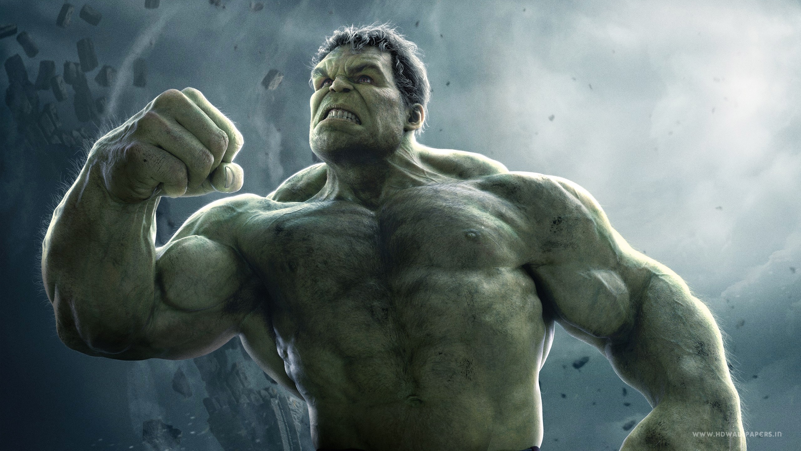 Avengers Age of Ultron Hulk Wallpaper in jpg format for free download