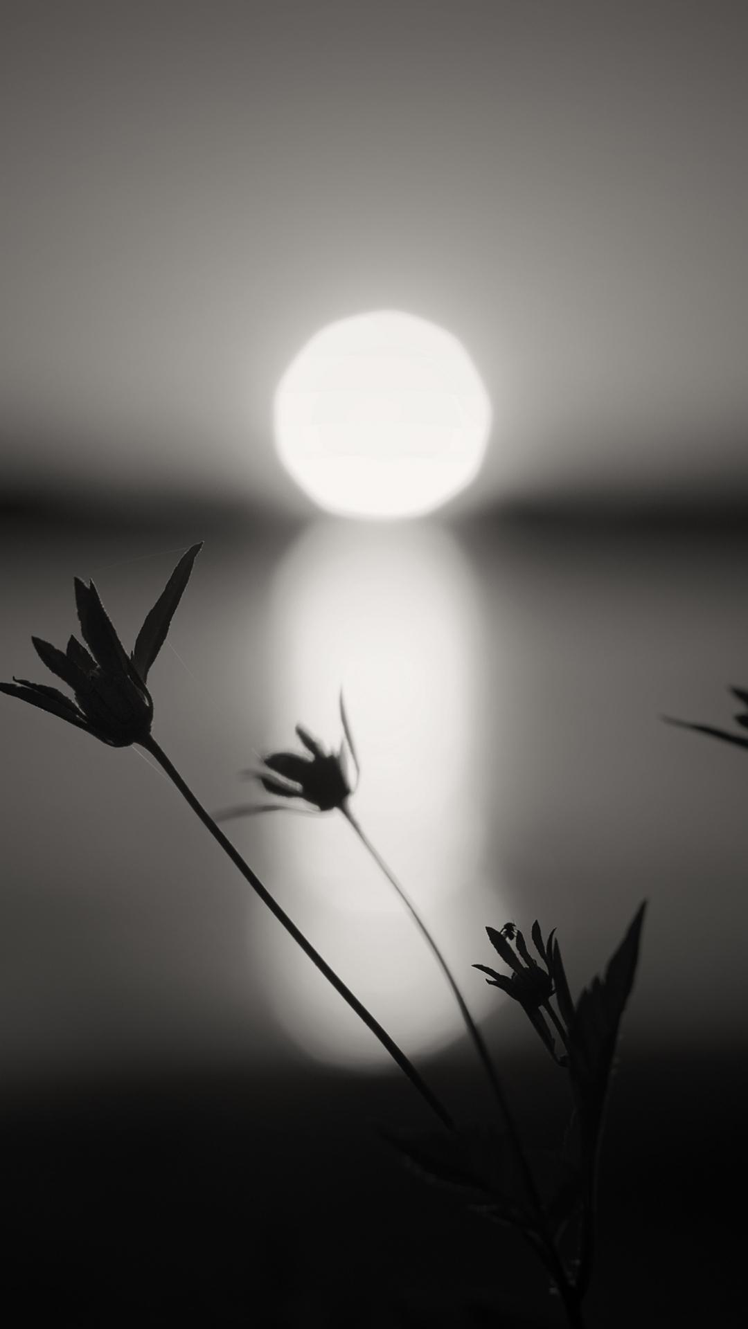 Photography Black & White (1080x1920) Wallpaper