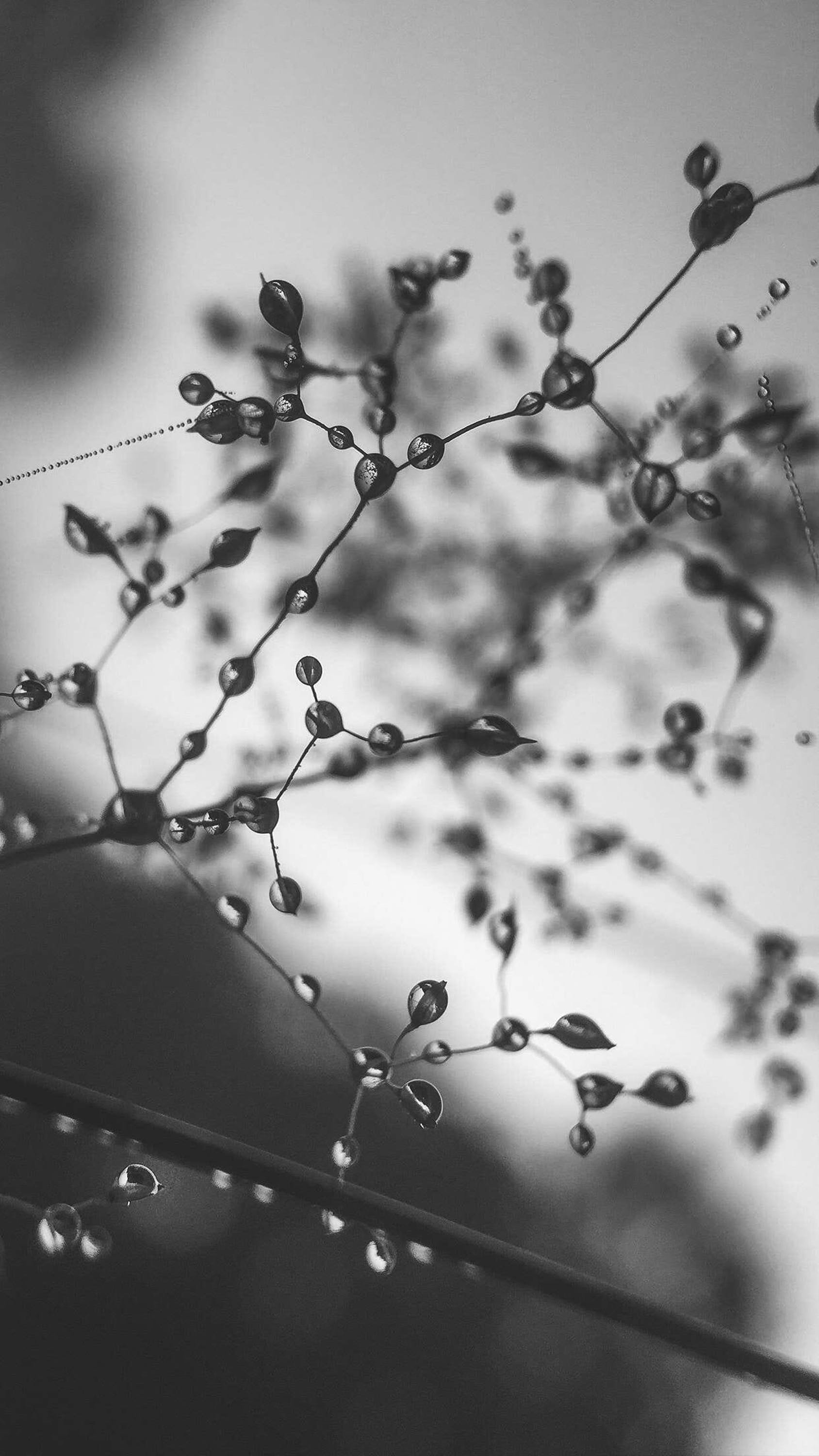 Wallpaper by the Mextures Collective