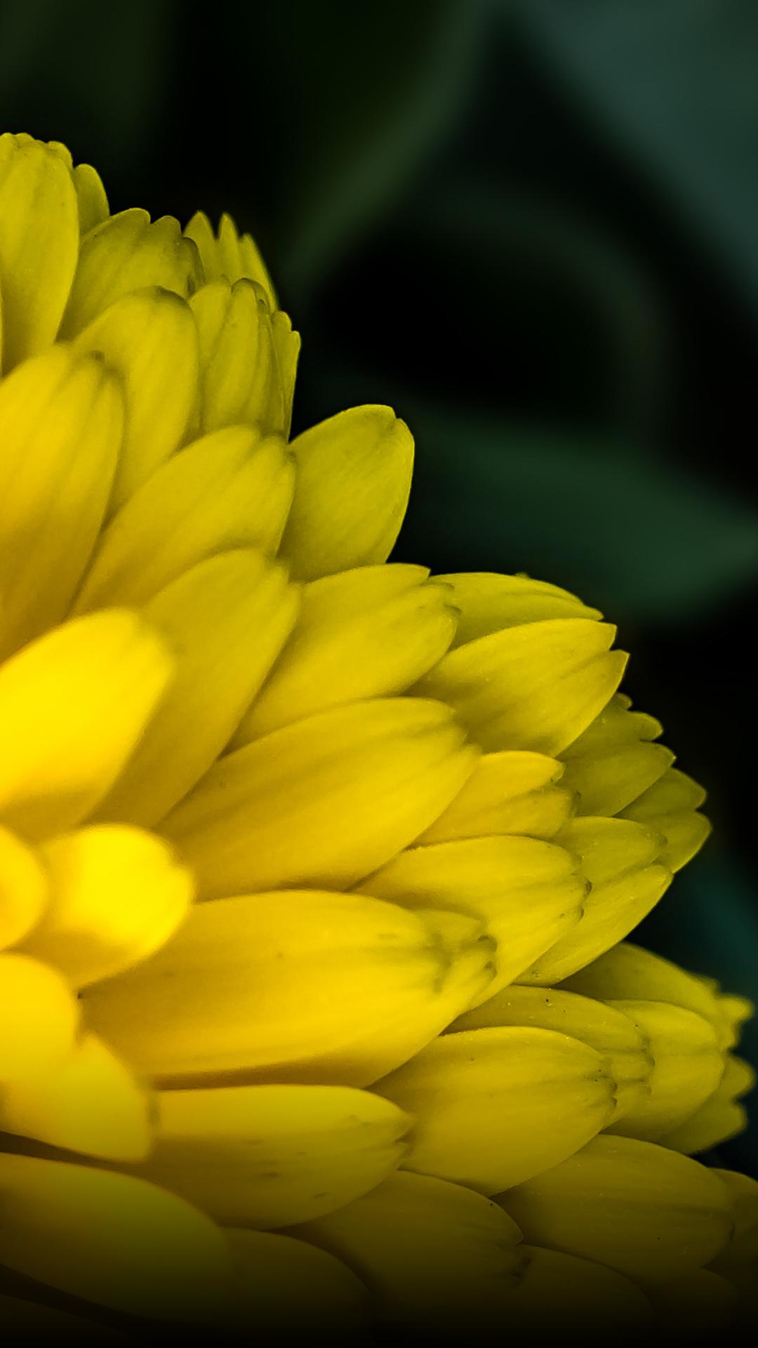 Amar Saleem Photography Mobile HD Wallpaper 10