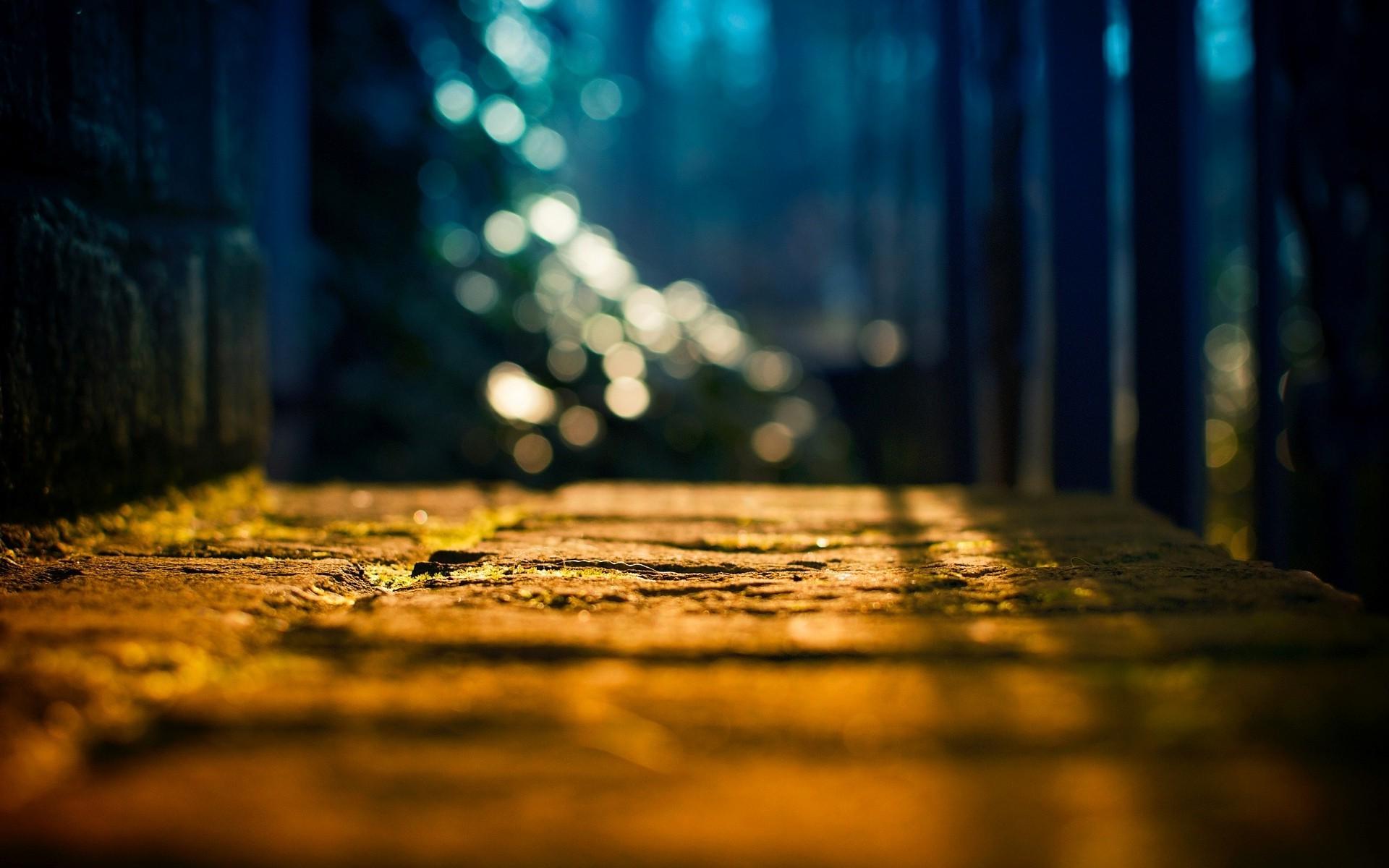 sunlight depth of field bokeh nature path wallpaper