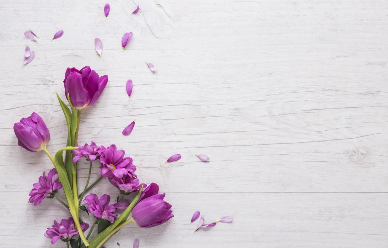 Wallpaper flowers, purple, tulips, flowers, beautiful, tulips
