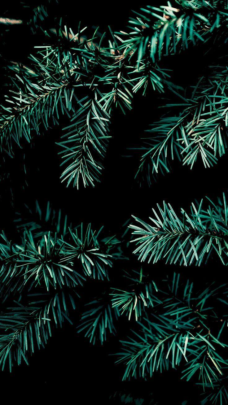 Christmas vibe for Amoled display #wallpaper #iphone #android