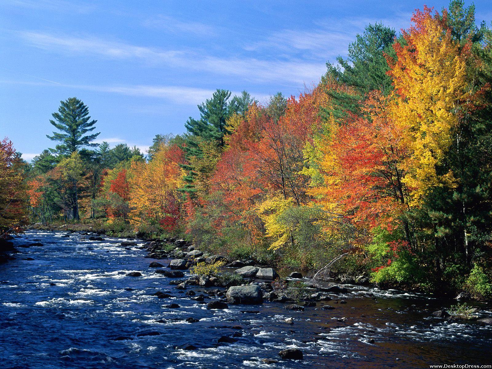 Desktop Wallpaper Natural Background Colors of New England