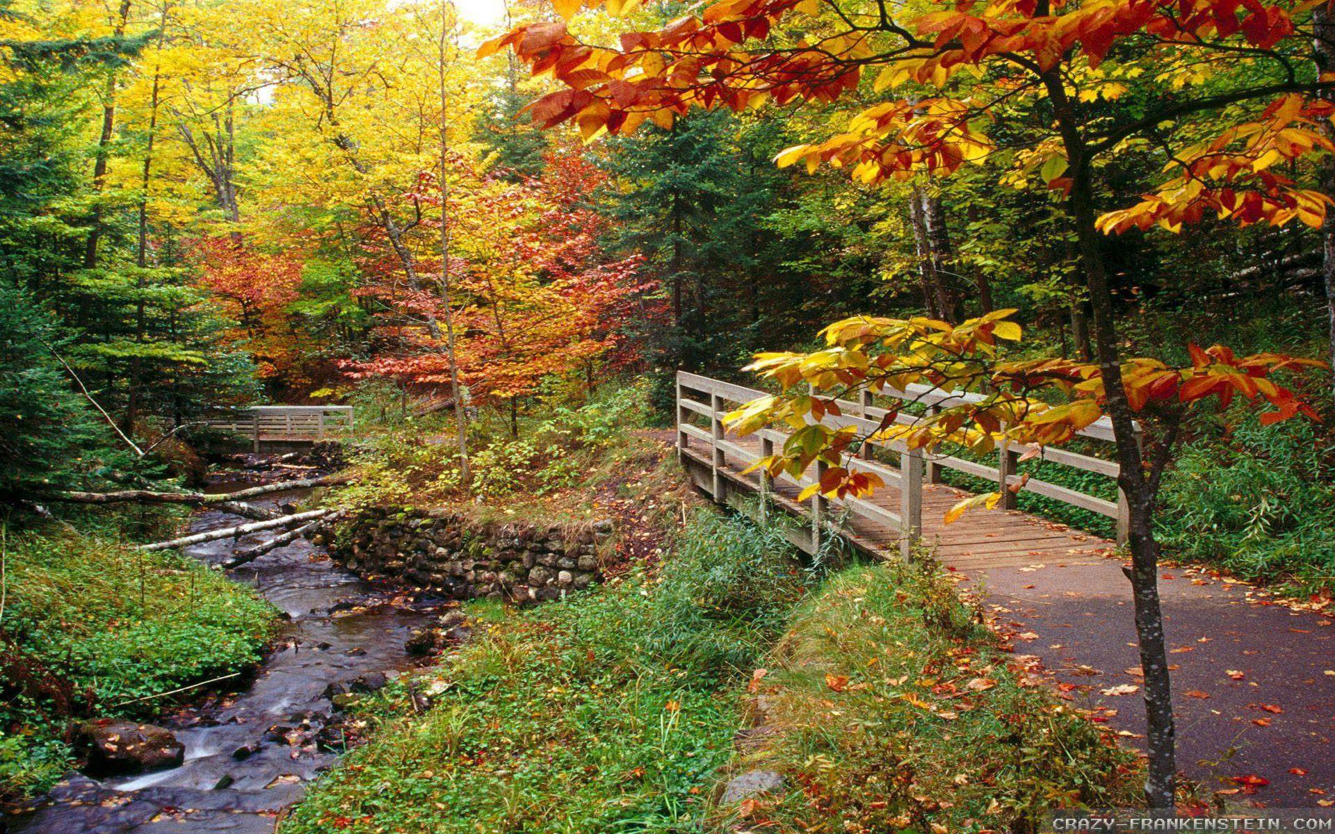 Autumn New England Wallpapers Wallpaper Cave