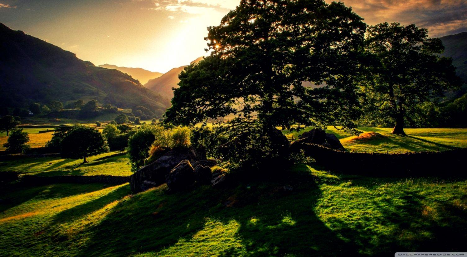 New England Wallpaper