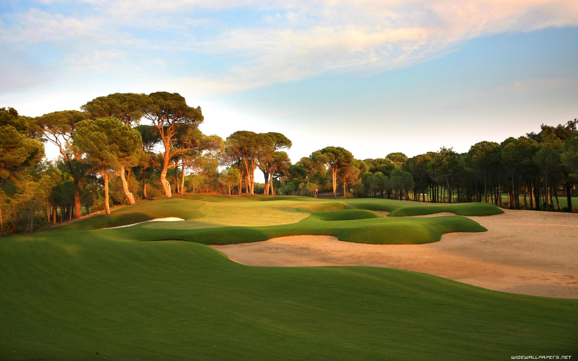 New England Patriots wallpaperx900