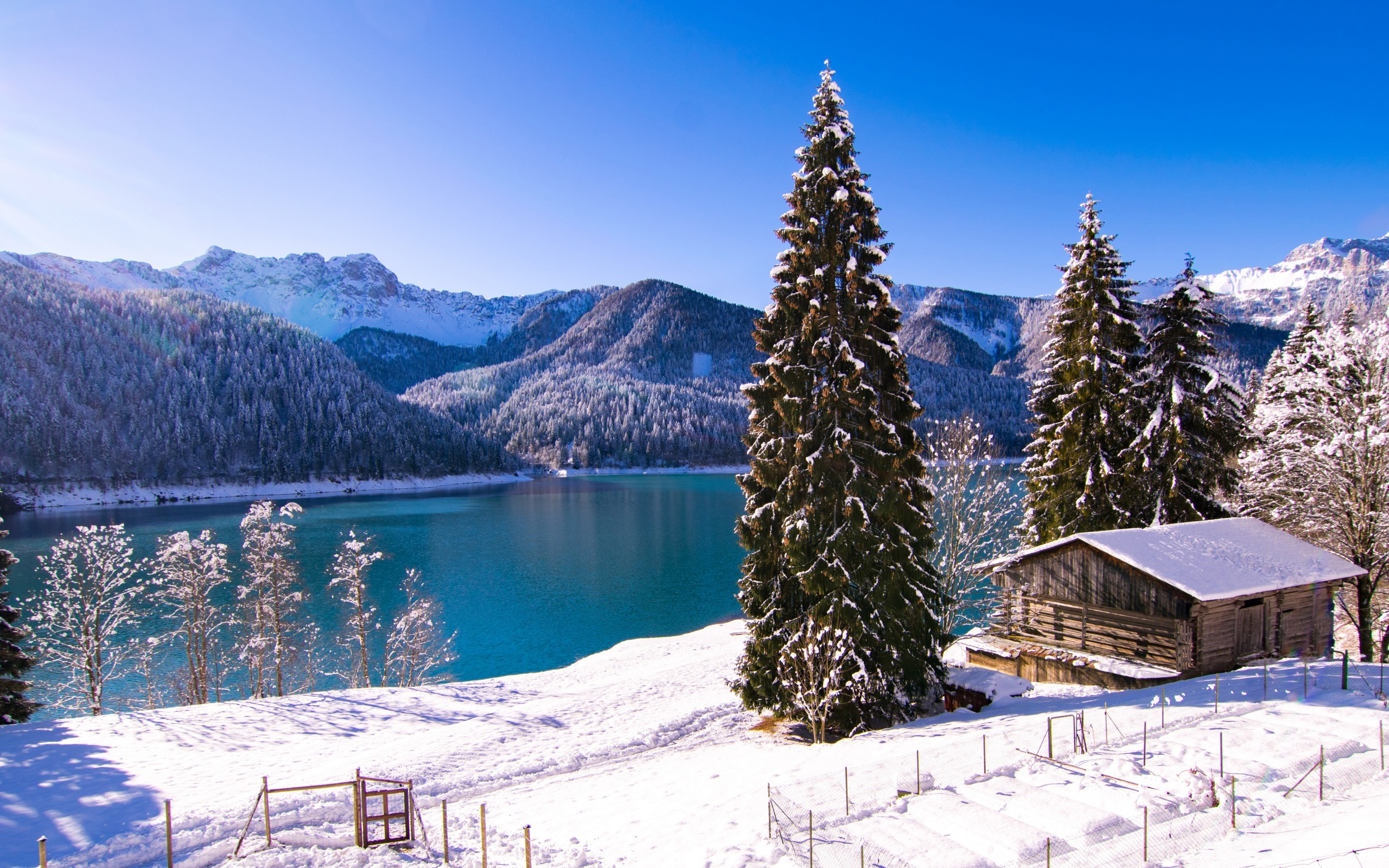 Download wallpaper Lake Sauris, Italy, mountain lake, winter, snow