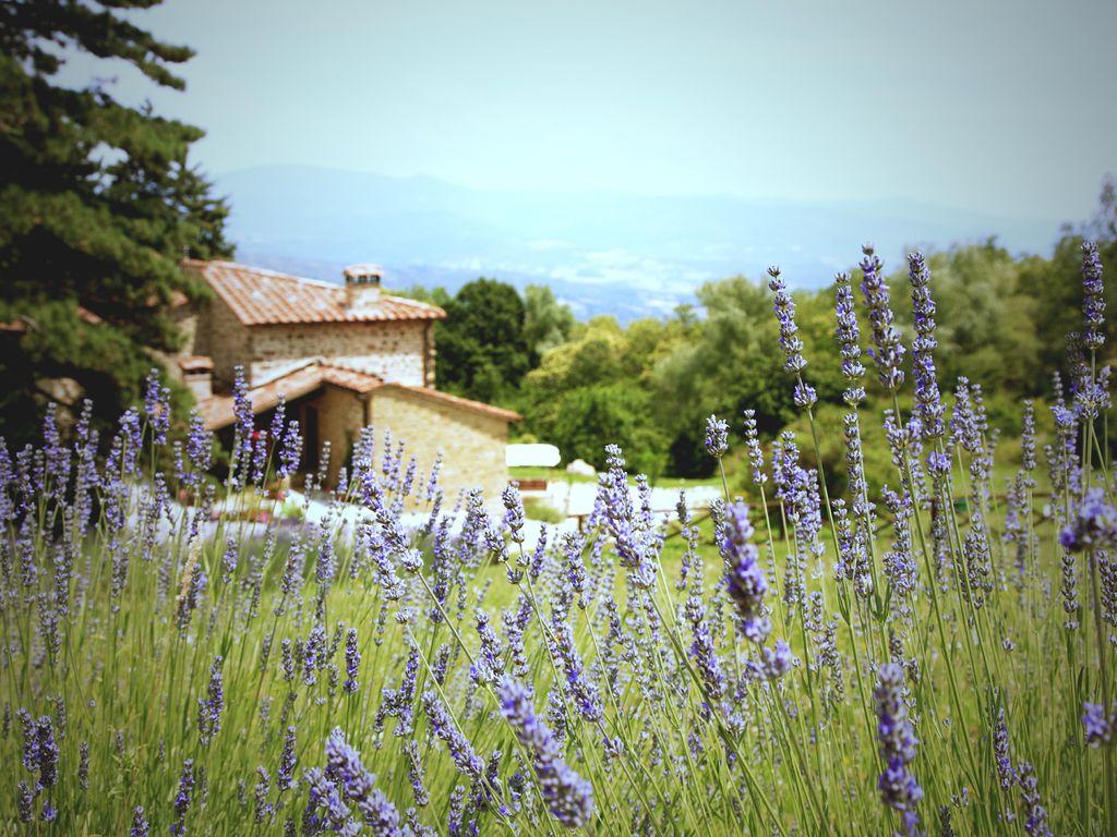 Stunning, family friendly, Tuscan farmhouse views and private pool