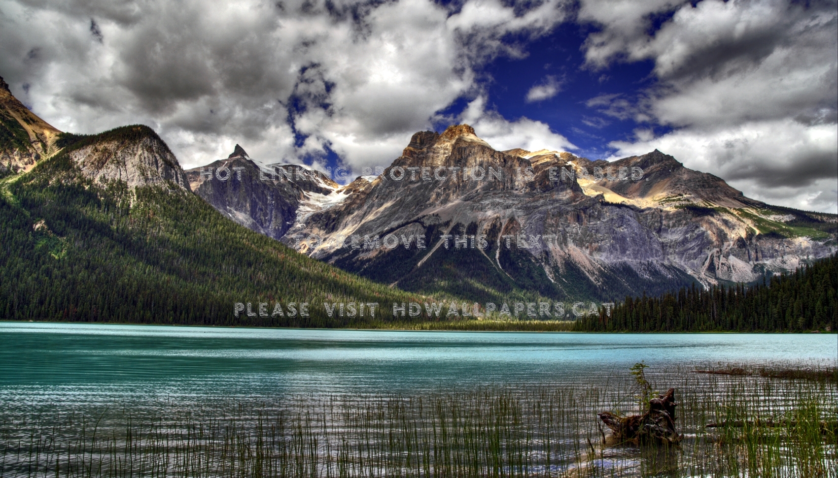 emerald lake canada yoho national park