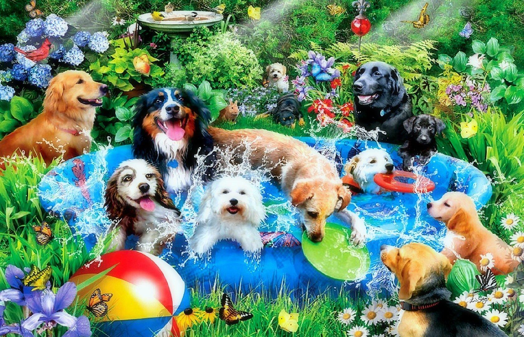 Dog Nature Flowers HD Wallpaper