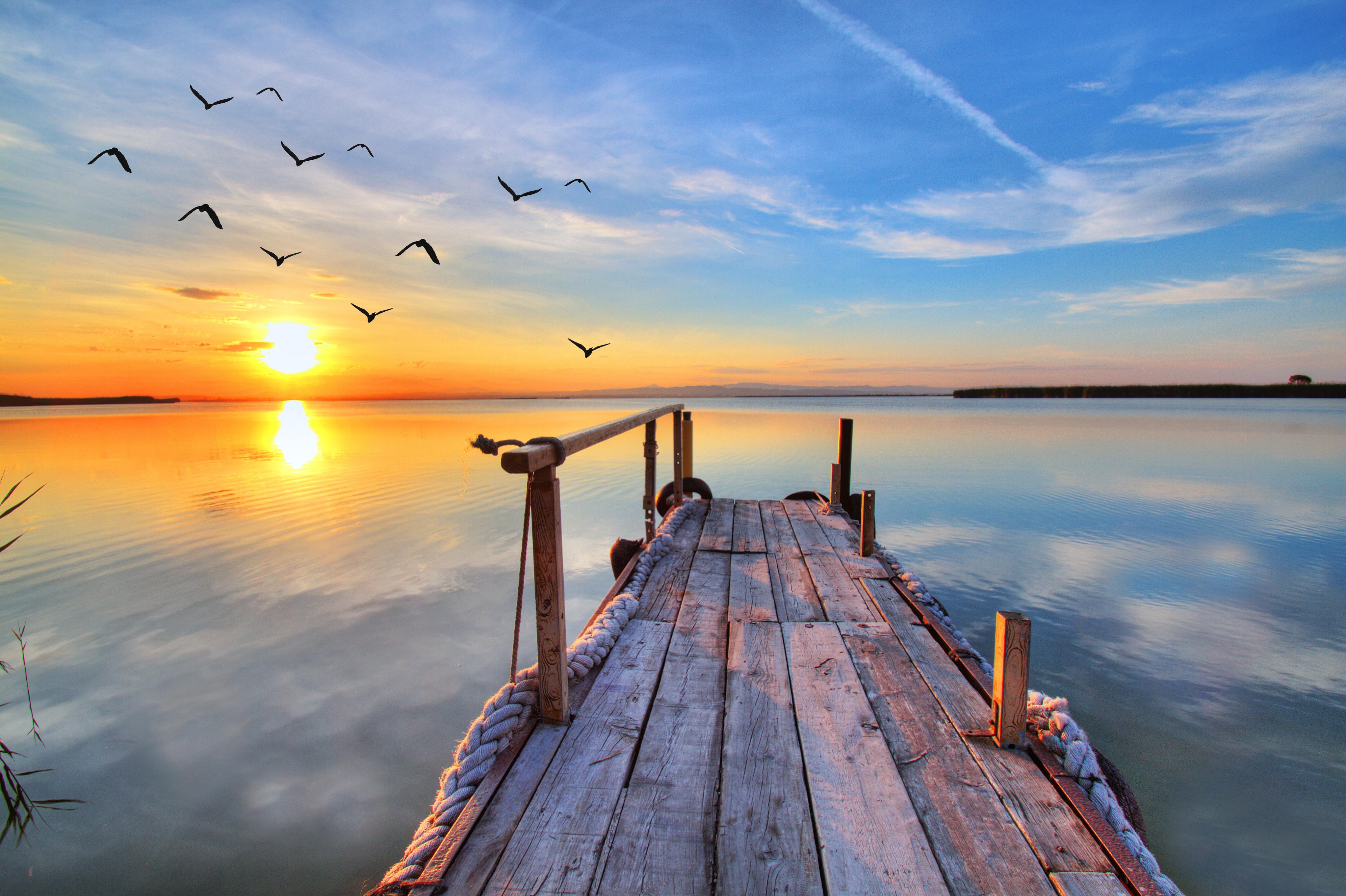 pier, seagull, lake, sunset wallpaper