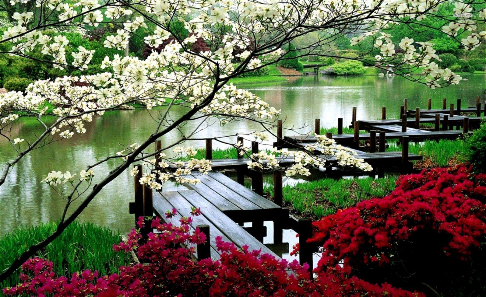 Free Japanese Garden Desktop Background