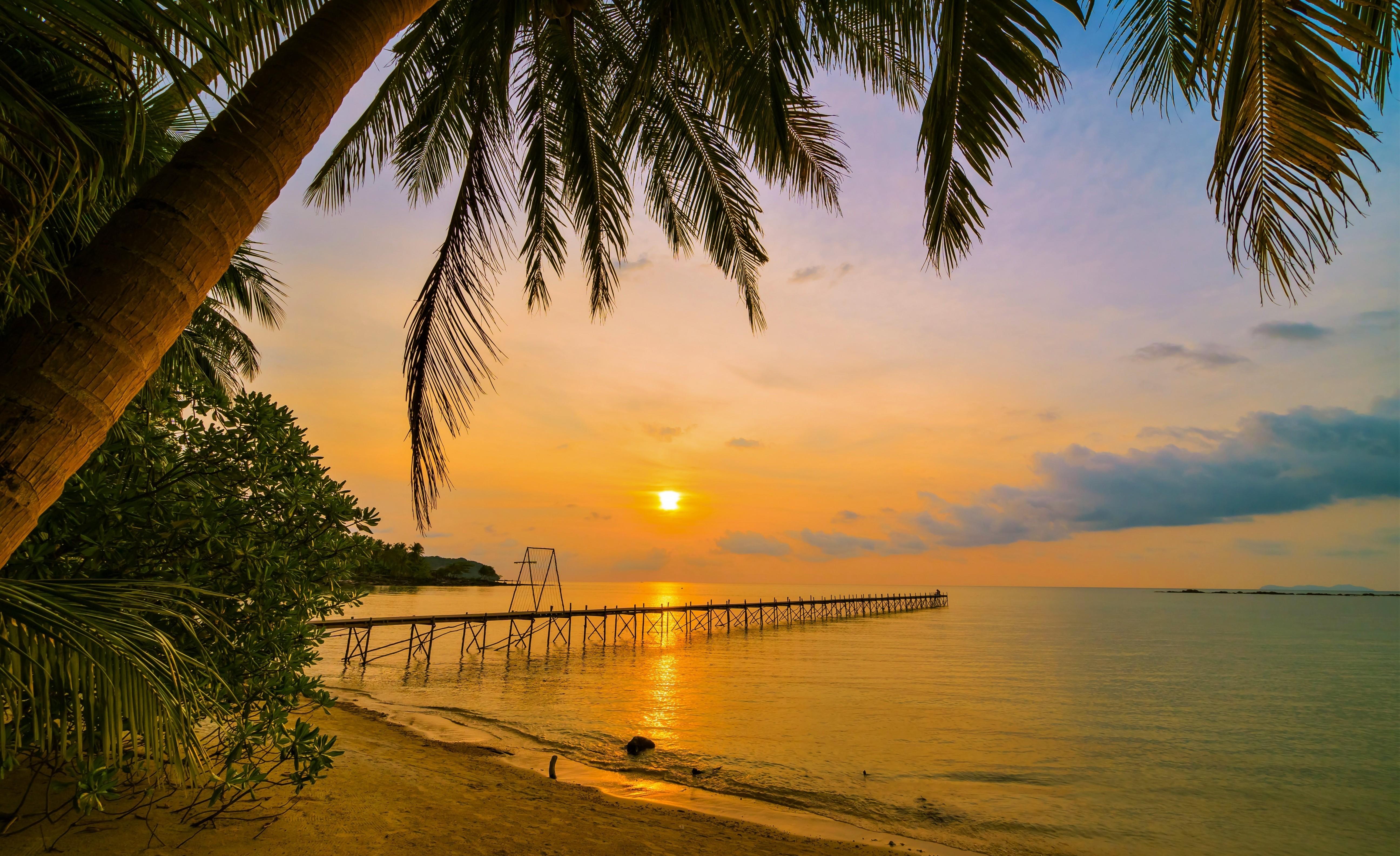 Download 5184x3168 Sunset, Pier, Palm Tree, Horizon Wallpaper