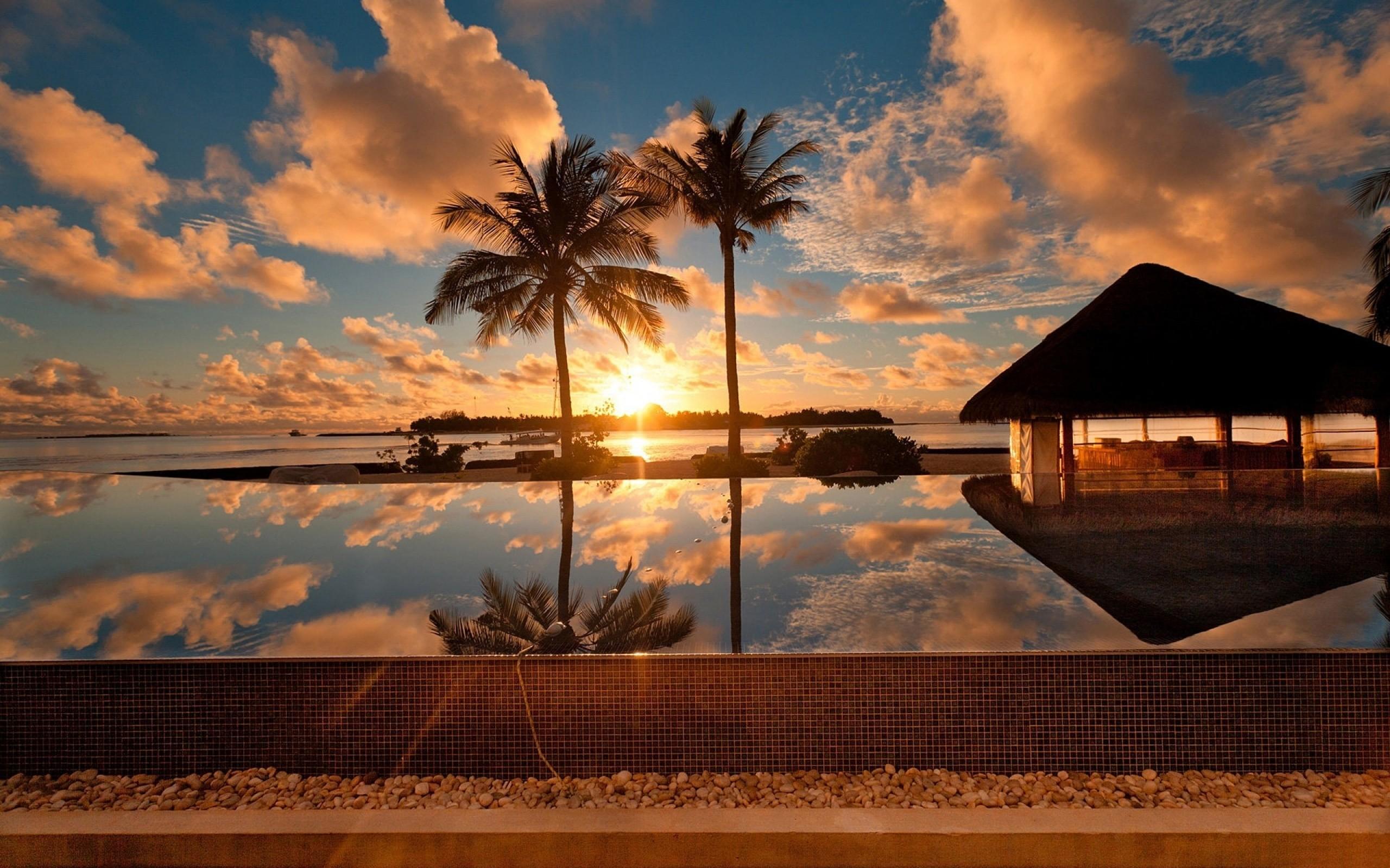 sunrise, houses, tropical, palm trees, swimming pools, reflections