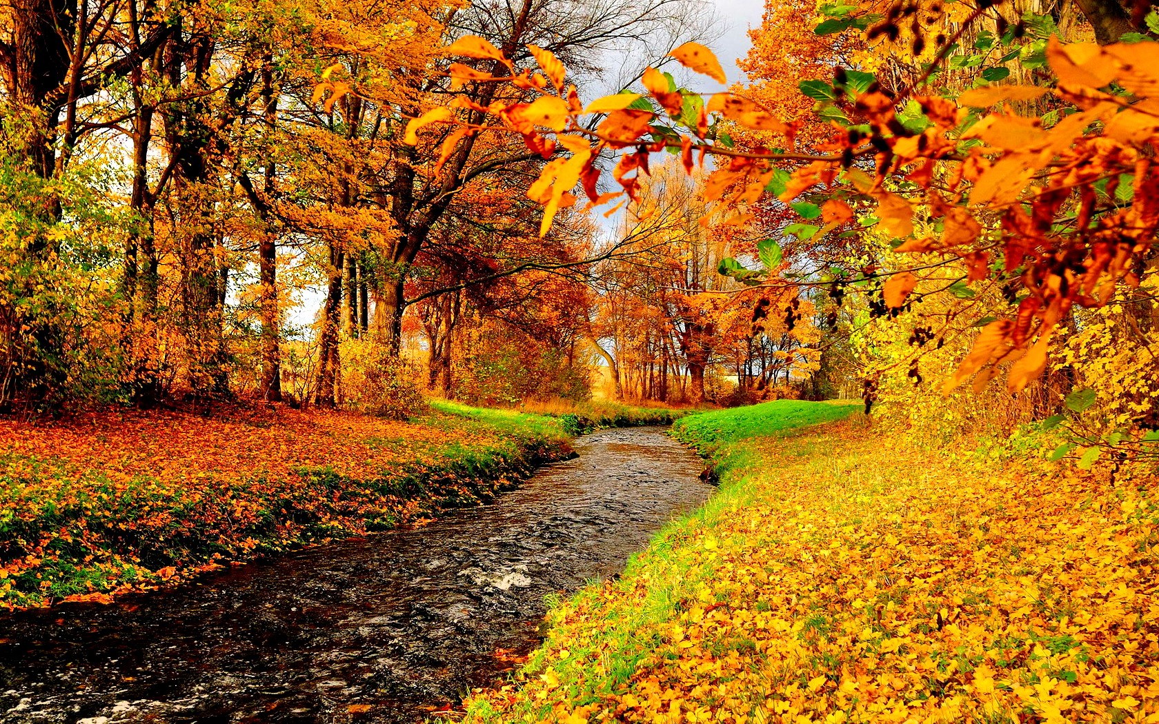 Enchanting Tag wallpaper: Trees Landscape Clouds Waterfalls Autumn