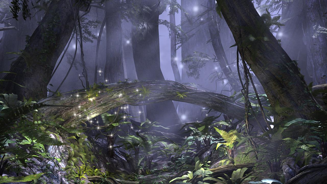 Enchanted Forest. HD Wallpaper Pulse