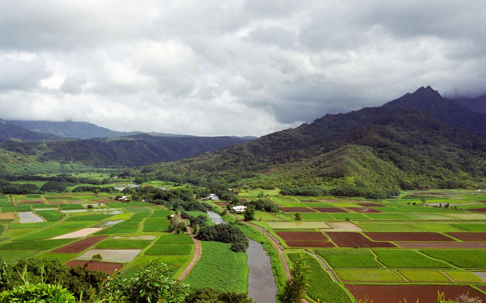 Clovisso Wallpaper Gallery: Hanalei River Valley Wallpaper