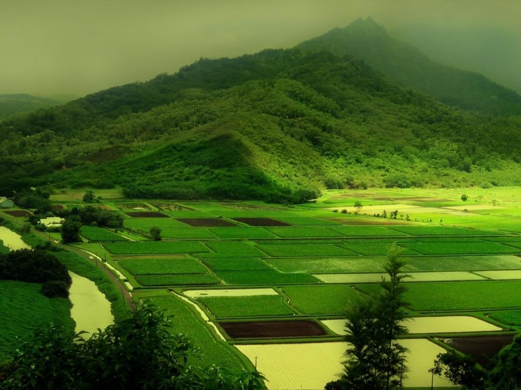 Landscape 4k Wallpaper For Your Desktop Or Mobile Valley