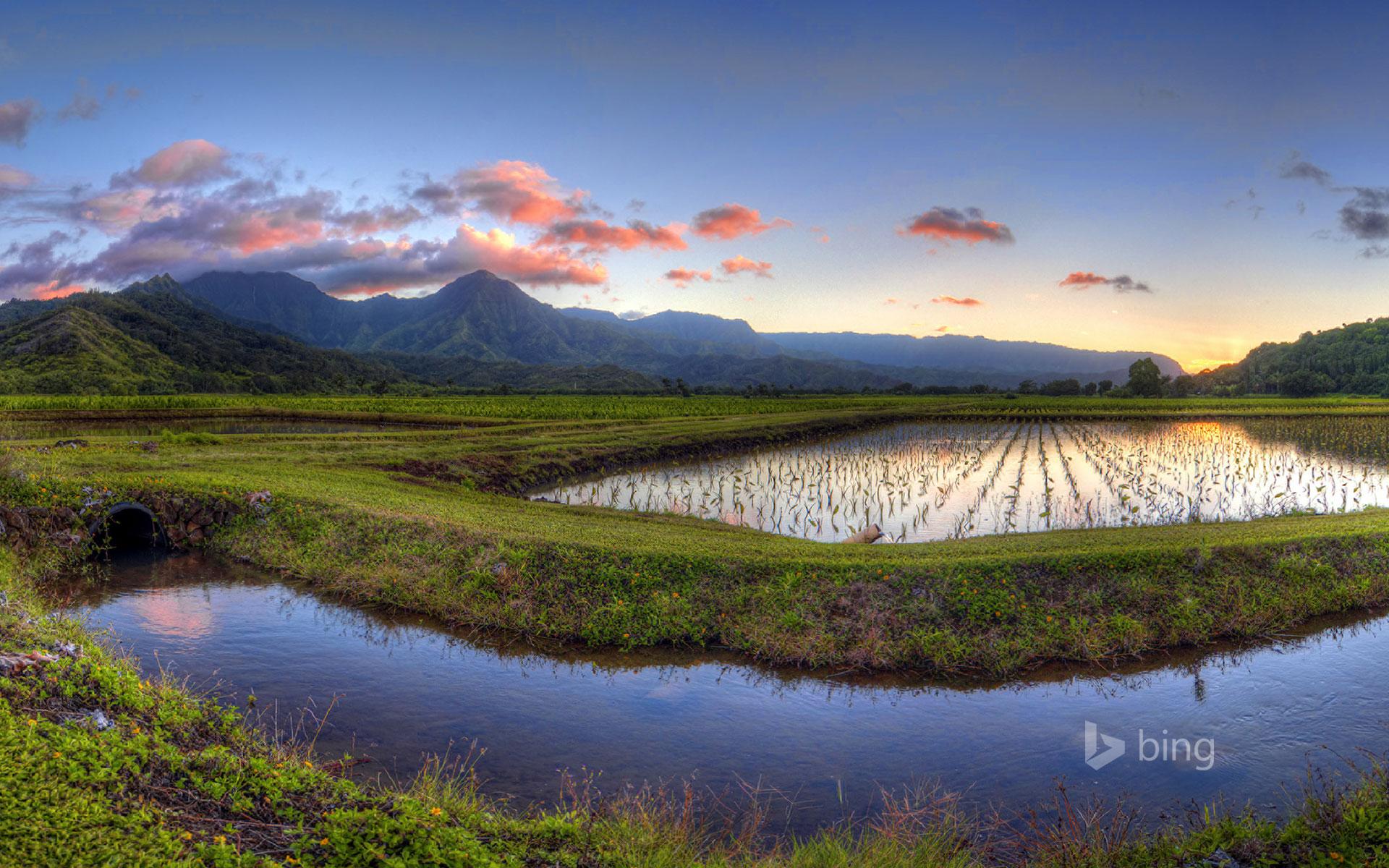 Hanalei Valley, Kauai, Hawaii © Ian Philip Miller Getty Image