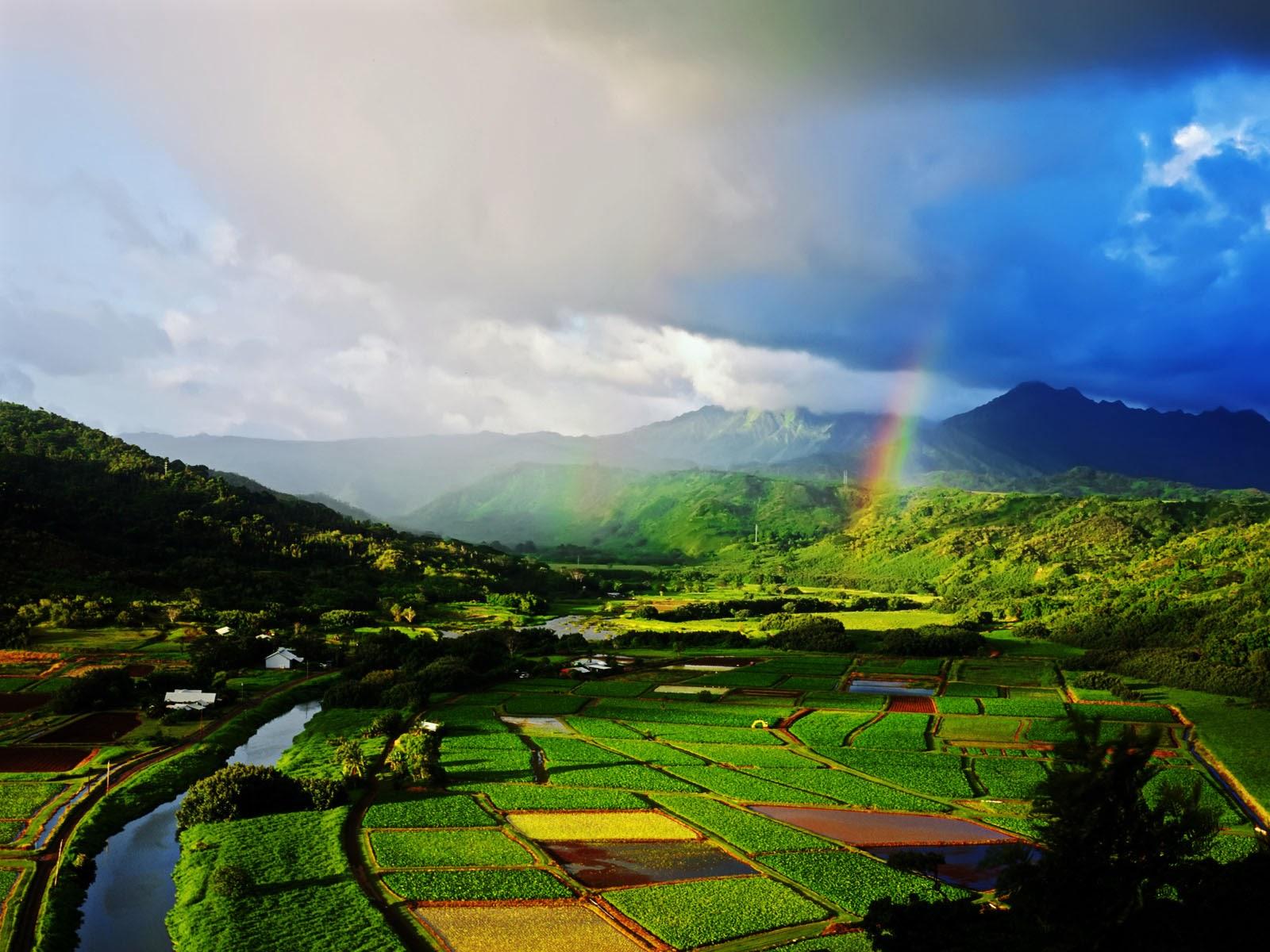 Clovisso Wallpaper Gallery: Hanalei River Valley Wallpaper