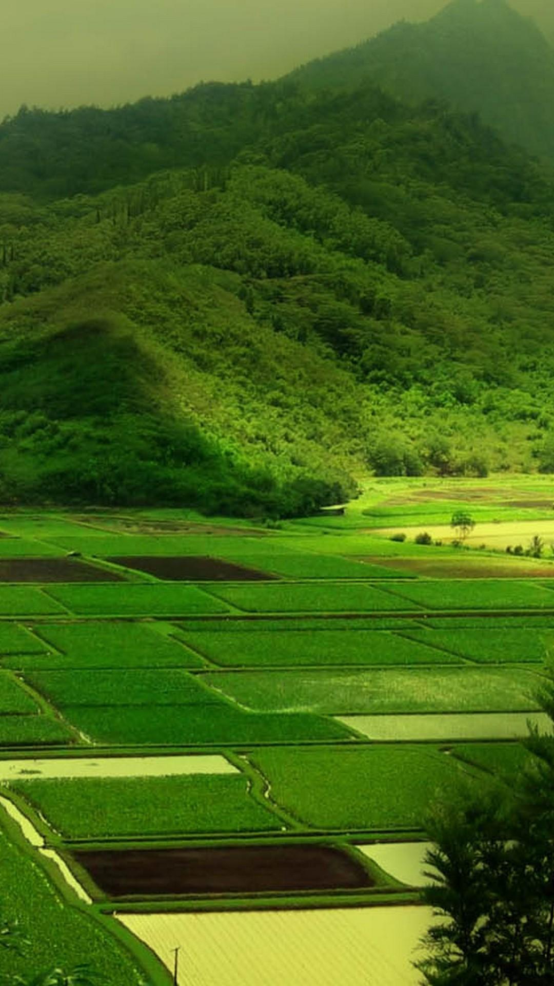 Start Download Valley Wallpaper Download