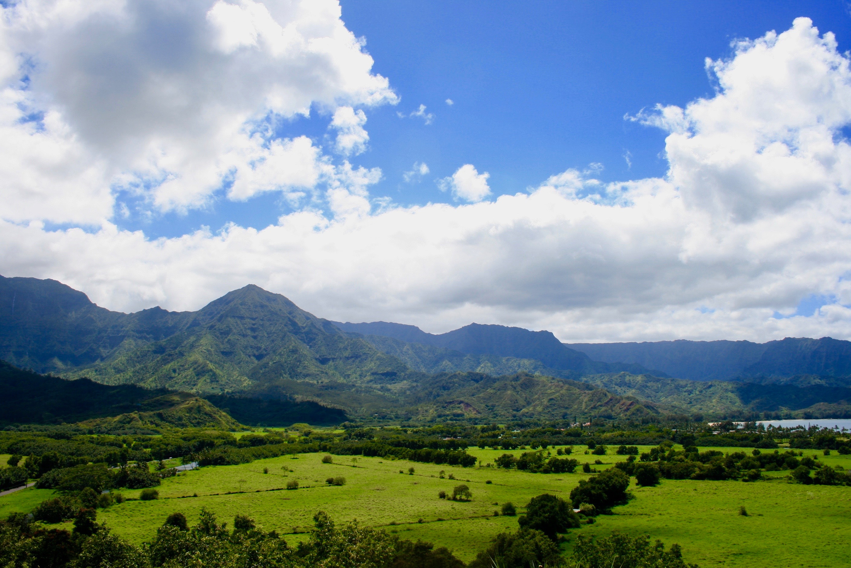 Free of hanalei, hawaii, hawaiian