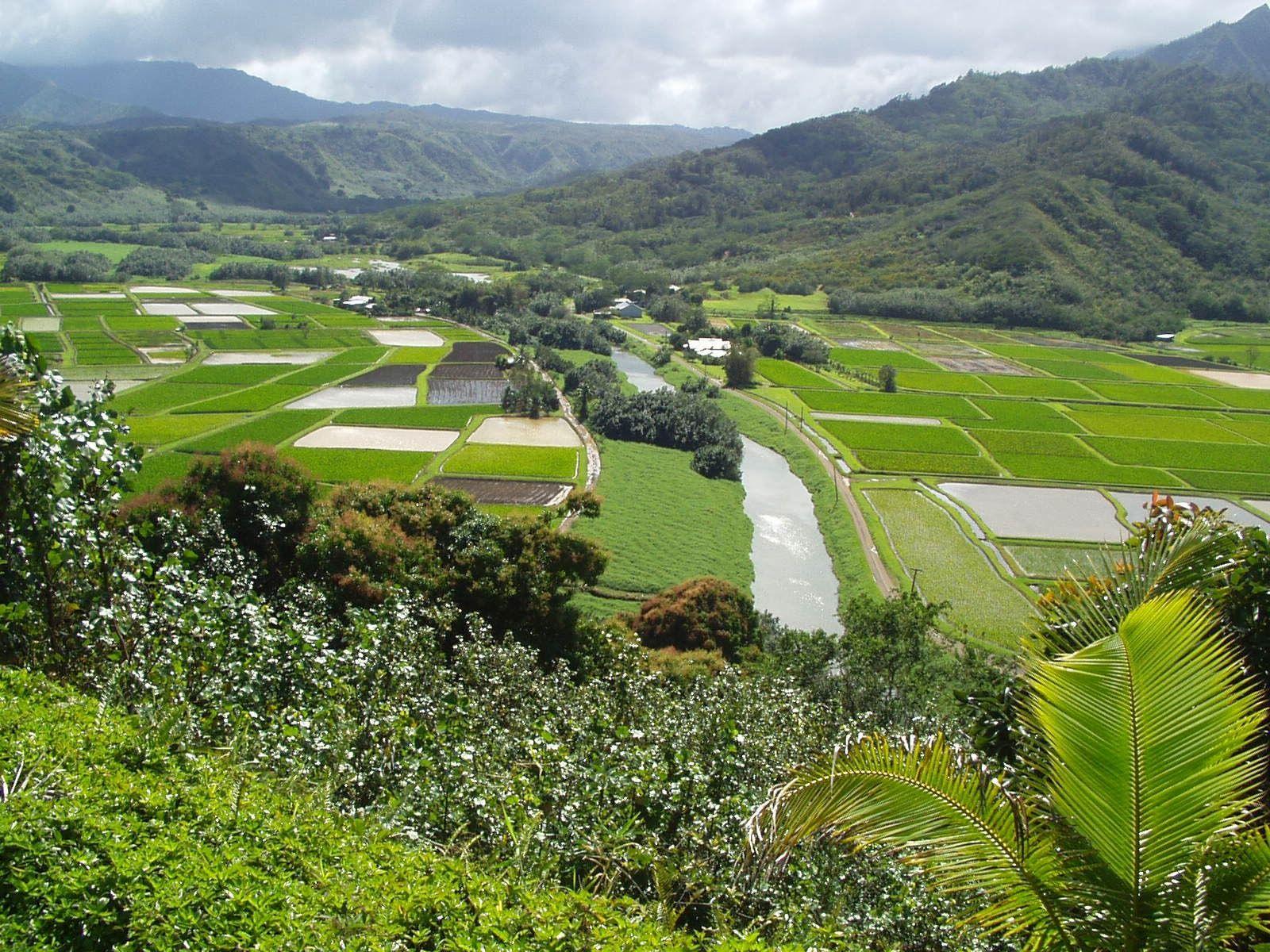 awesome Hanalei River In HD. AmazingPict.com. Kauai