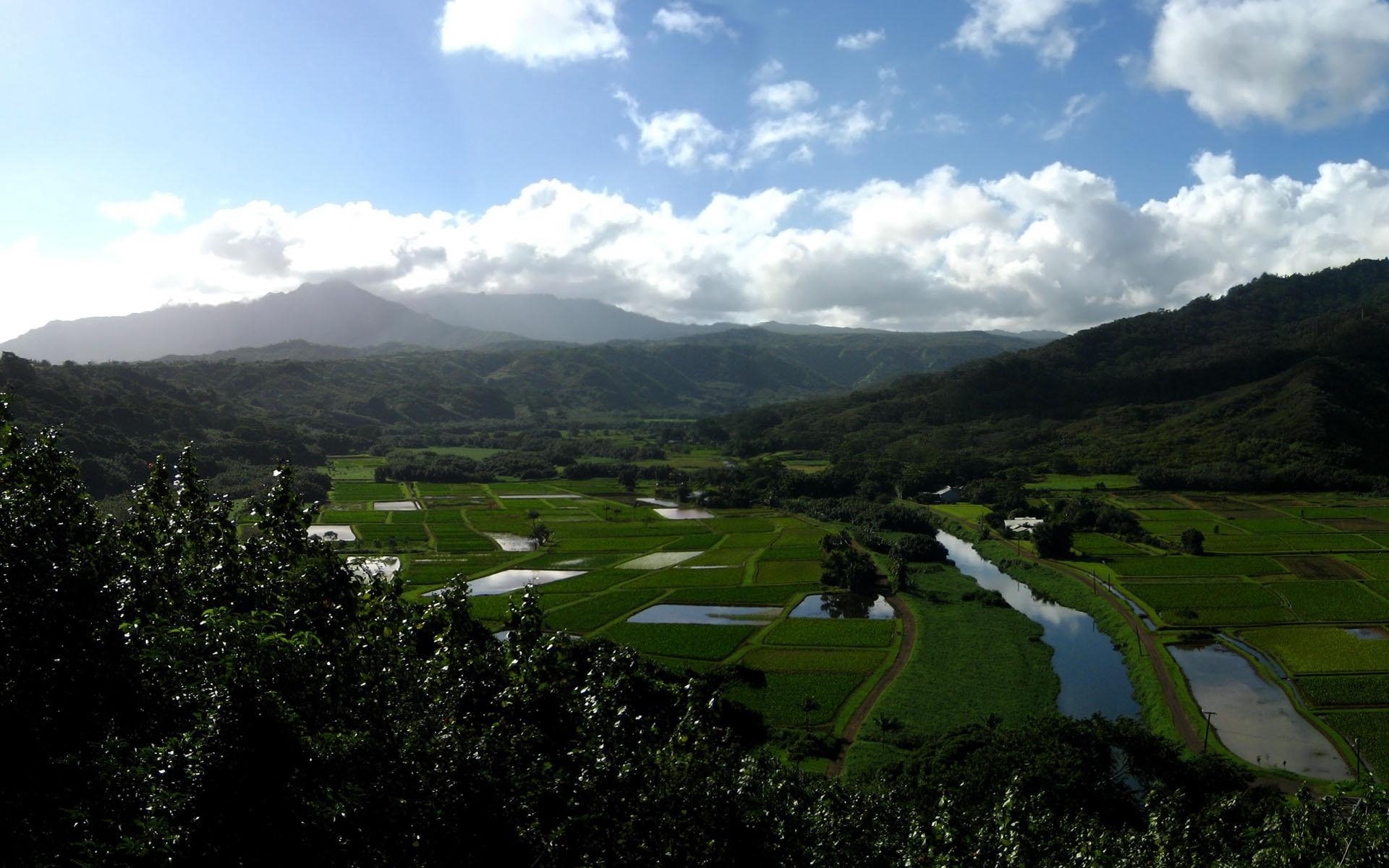 Download wallpaper 1920x1200 fields, water, agriculture, clouds, sky