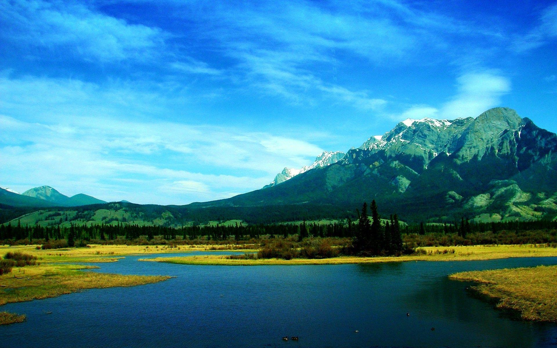 Free Download Beautiful Wallpaper For Mobile Phones