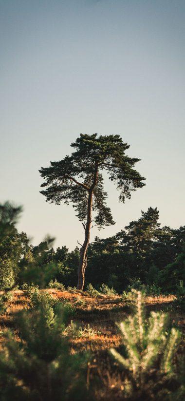 Realme C2 Wallpaper HD C2 Wallpaper