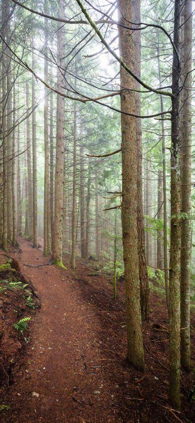 Realme C2 Wallpaper HD C2 Wallpaper