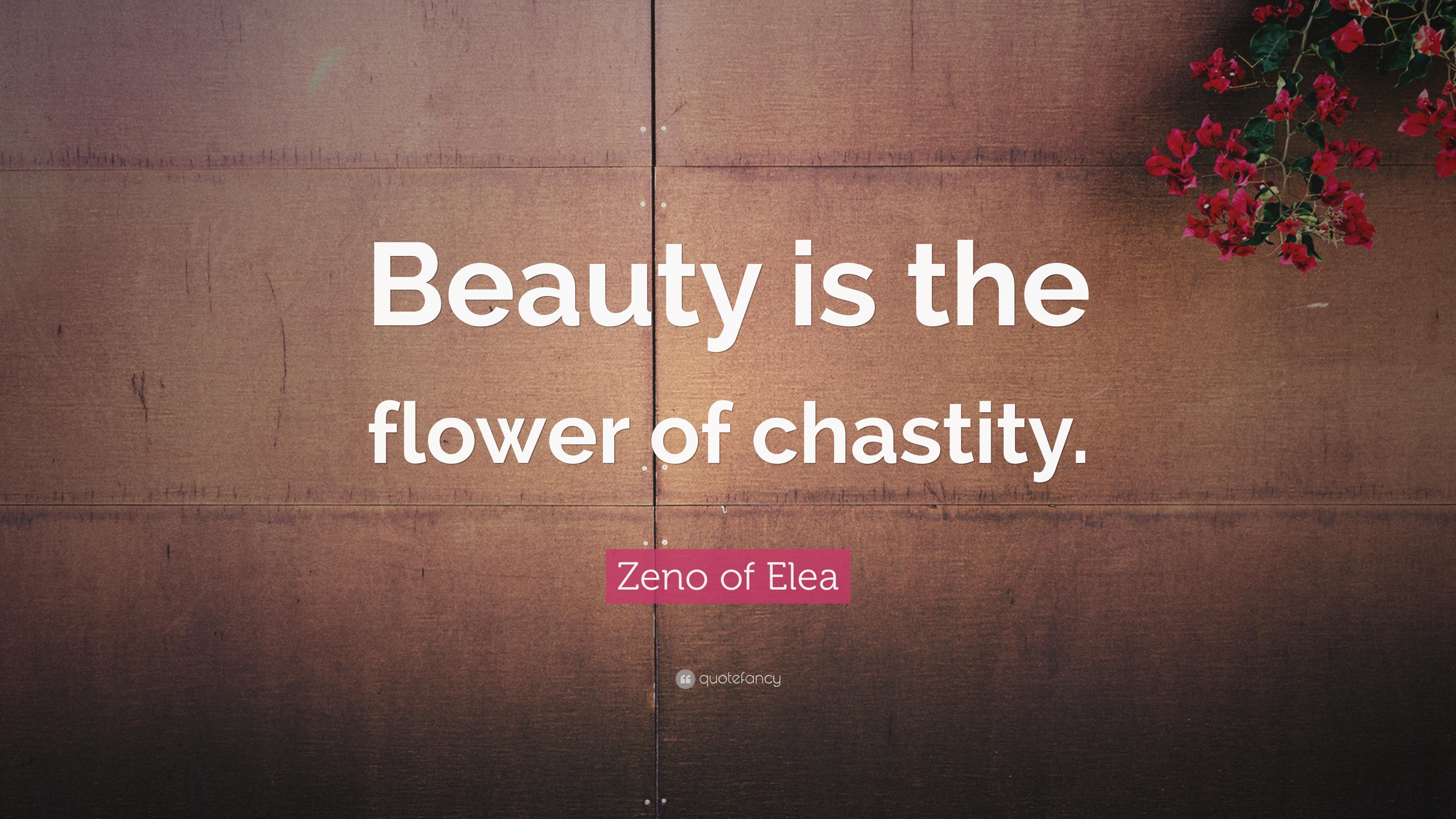 Zeno of Elea Quote: "Beauty is the flower of chastity. 