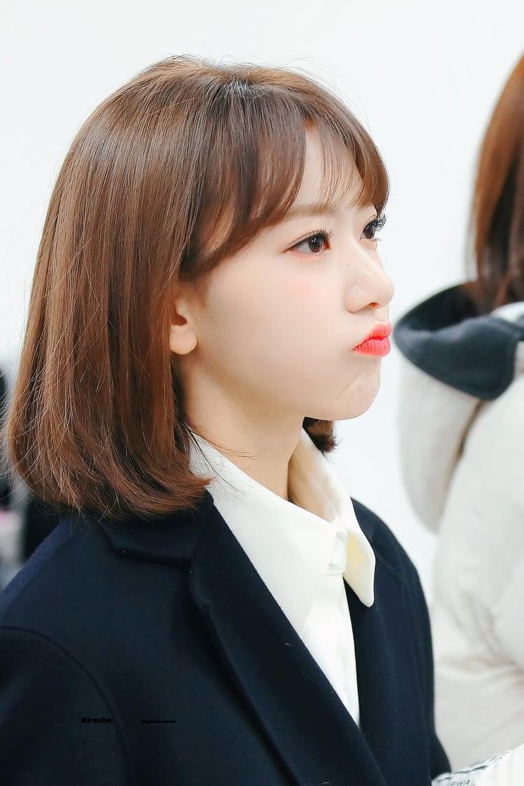 Image about sakura in izone