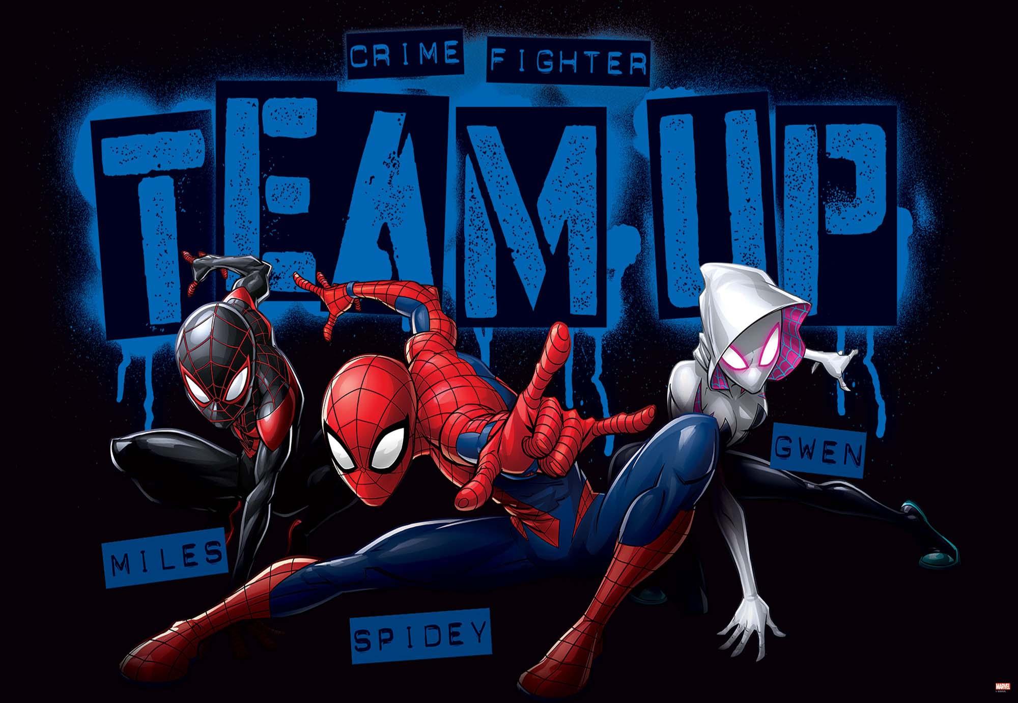 Spider Man Marvel Wall Murals For Wall