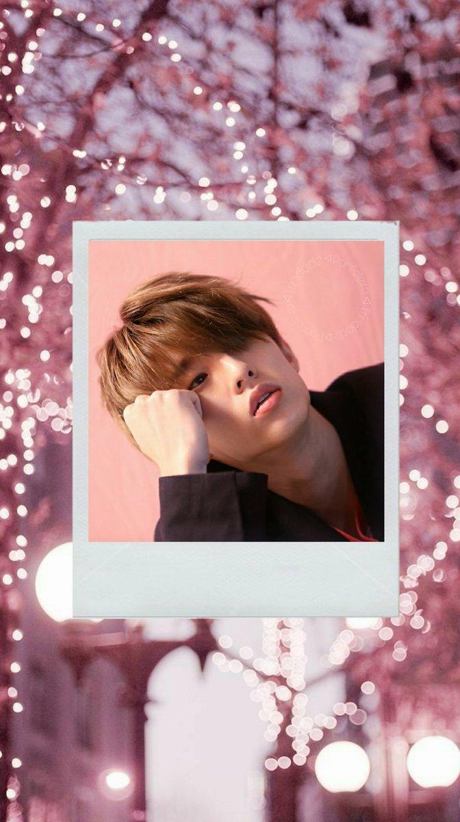 Trindade Panfleteira - [WALLPAPER] Jae VOTE