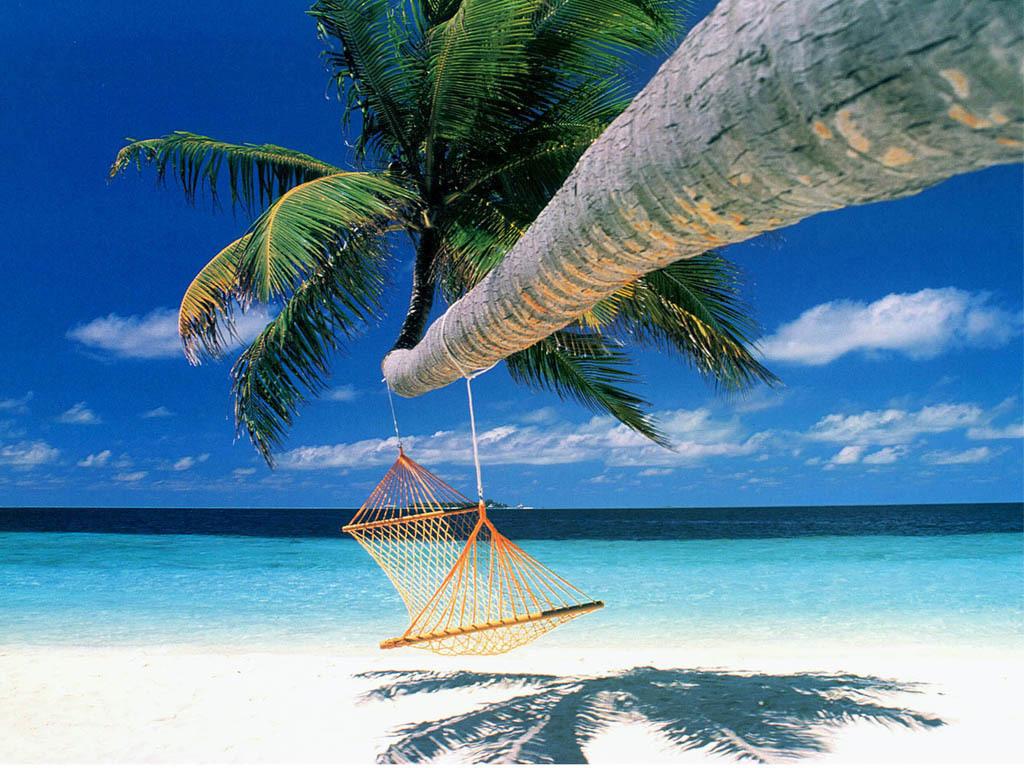 Download Lovely Summer Season And Beach Wallpaper HD Desktop