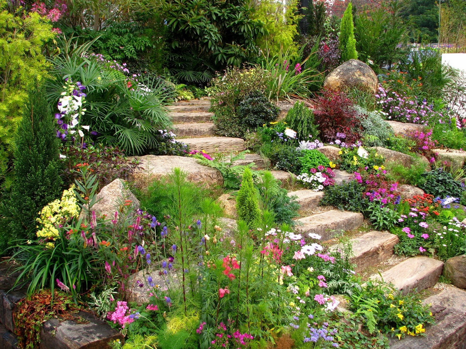 Download wallpaper 1600x1200 steps, flowers, garden, vegetation
