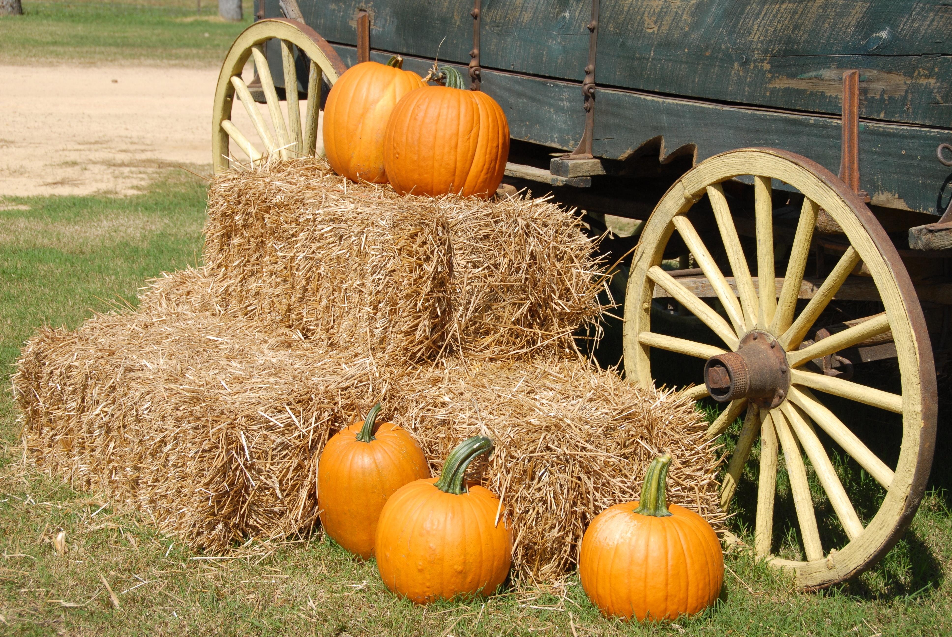 Pumpkin Wagon Wallpapers - Wallpaper Cave