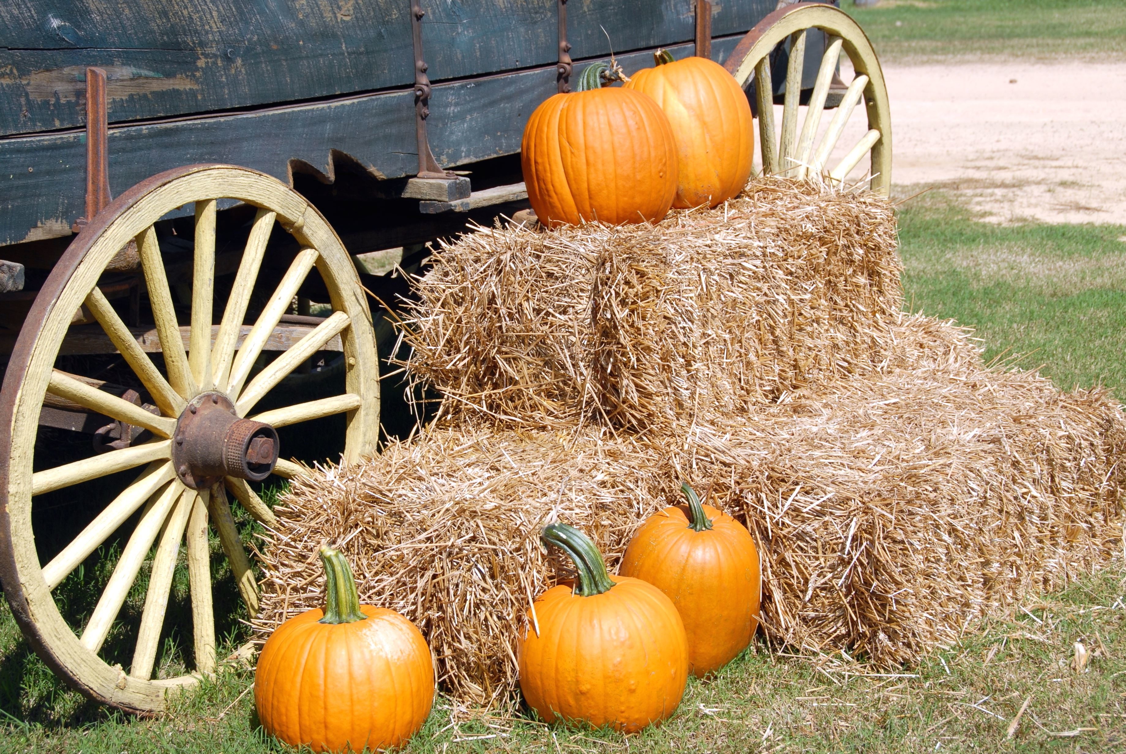 Pumpkin Wagon Wallpapers - Wallpaper Cave